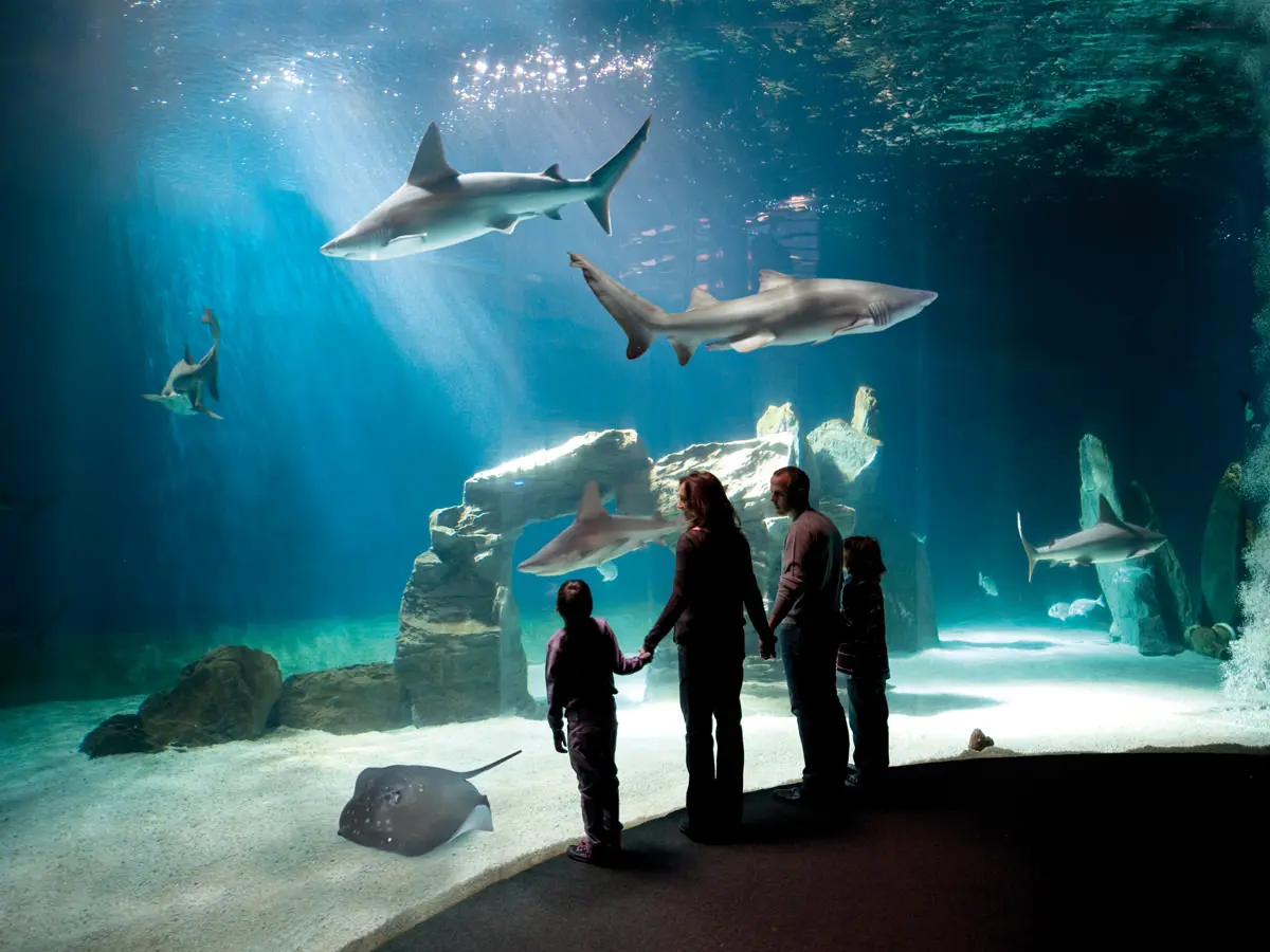 Acquario di Genova - Porto Antico di Genova