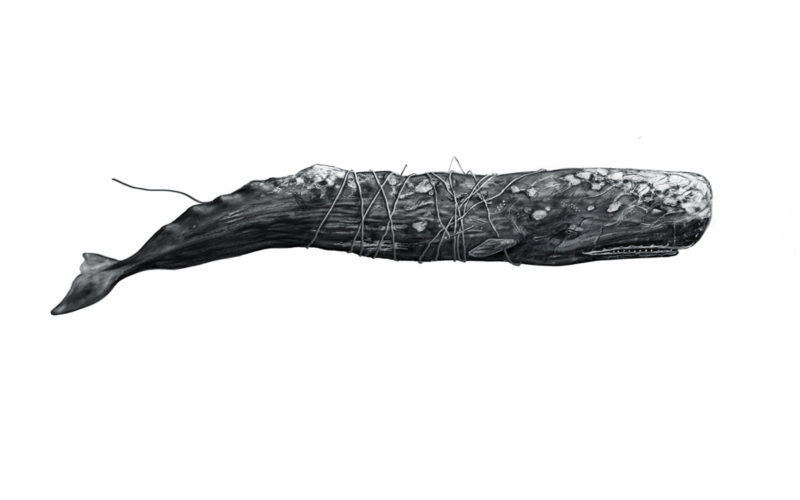 La leggenda di Moby Dick: il monologo di Ismaele all’Isola delle Chiatte