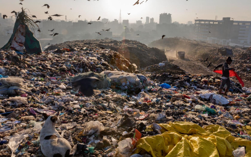 Mostra “Planet vs Plastic”