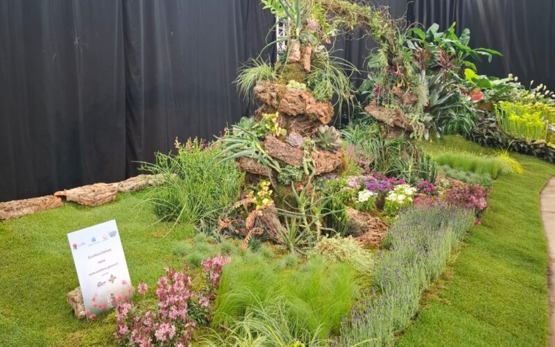 EUROFLORA ALLE FLORALIËN GENT 2026